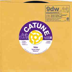 9dw - EP 2007 / 7' download free