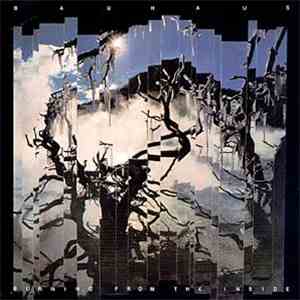 Bauhaus - Burning From The Inside download free