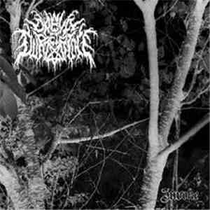 Daeva Durzeiriche - Invoke download free