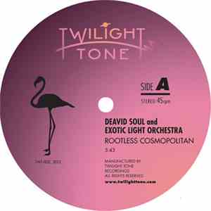 Deavid Soul and Exotic Light Orchestra - Rootless Cosmopolitan download free