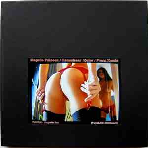 Franz Kamin / Kommissar Hjuler / Magnús Pálsson - FLUXUS download free