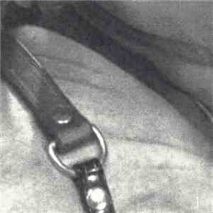 Hal Hutchinson - For Extreme Cinema 1 download free