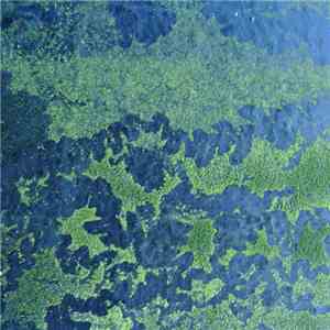 Jana Winderen - Submerged download free